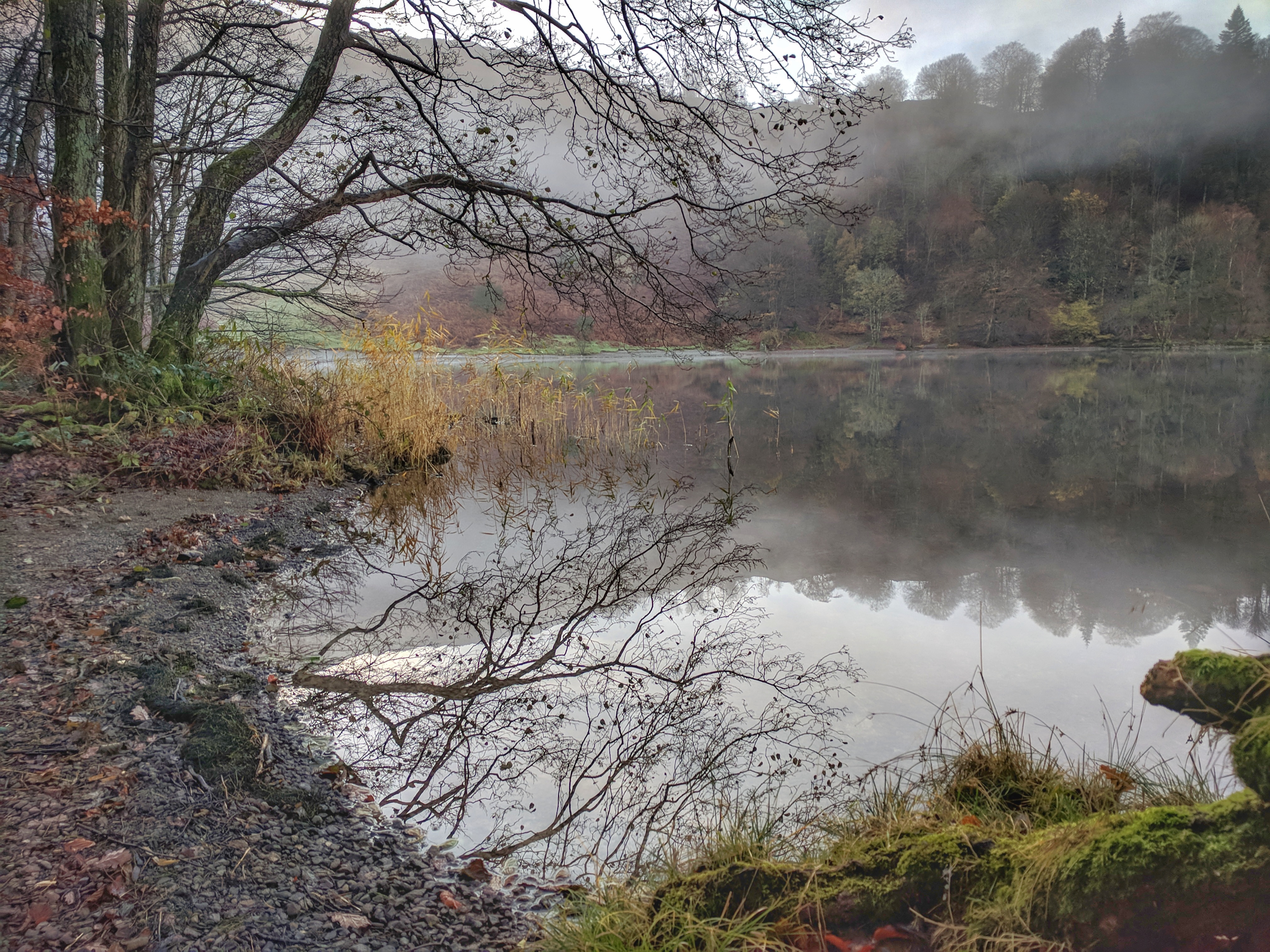 IMG_20171115_095306-01