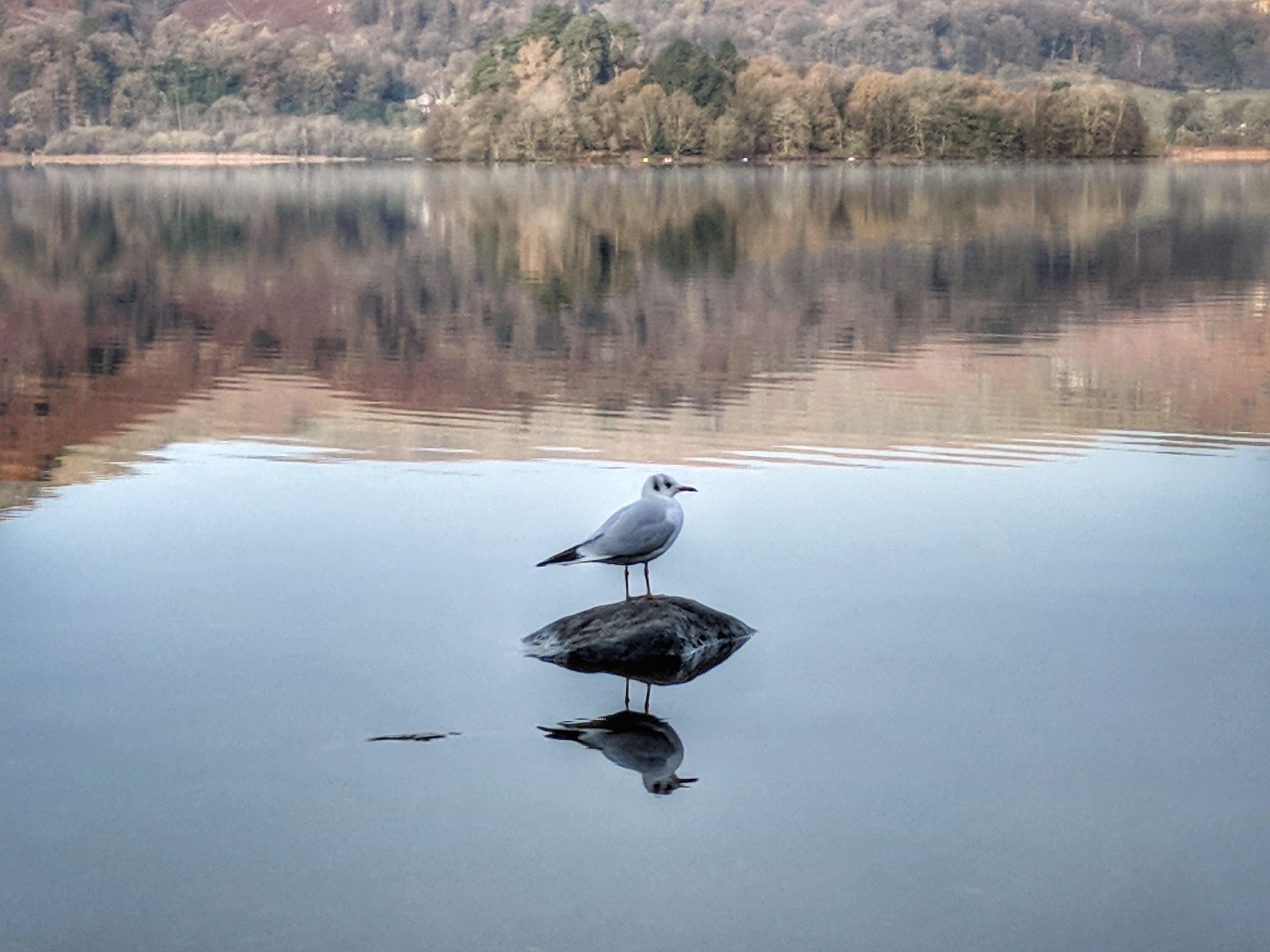 IMG_20171115_100652-01