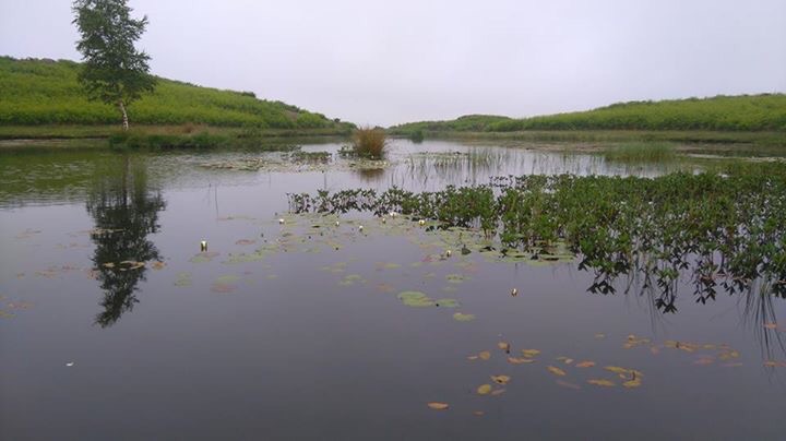 Todd Crag and Lily Tarn,&nbsp;Ambleside