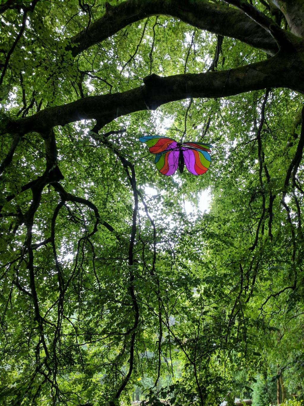 Alphabet Trail, Serpentine Woods, Kendal