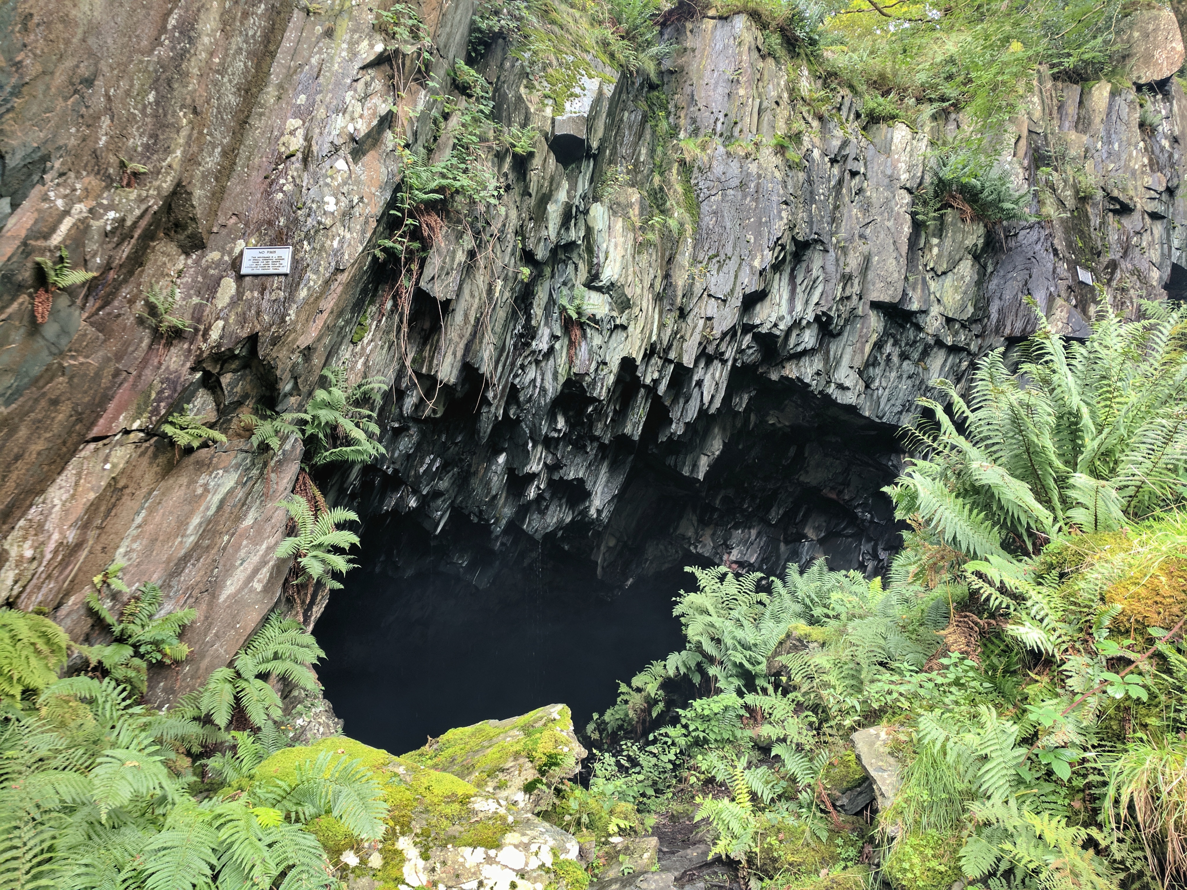 IMG_20170917_102557-01