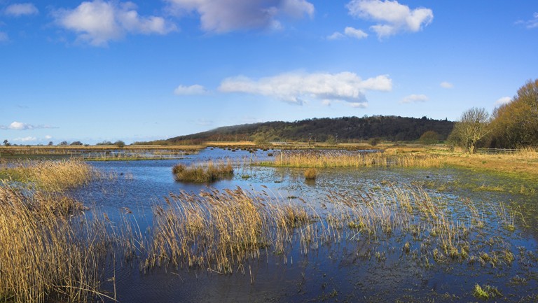 RSPB Leighton Moss,&nbsp;Silverdale