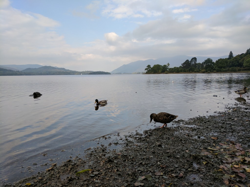 Kettlewell Picnic Spot,&nbsp;Derwentwater