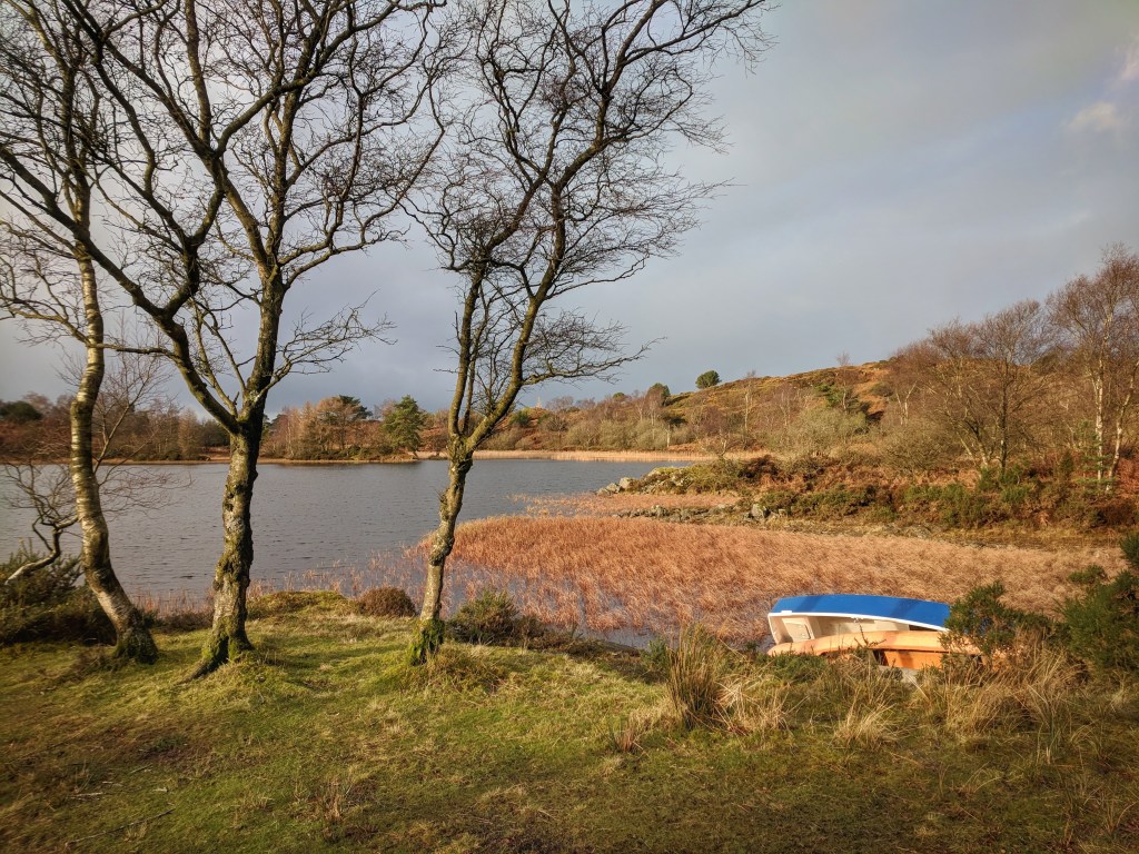 Yew Barrow, near Newby&nbsp;Bridge