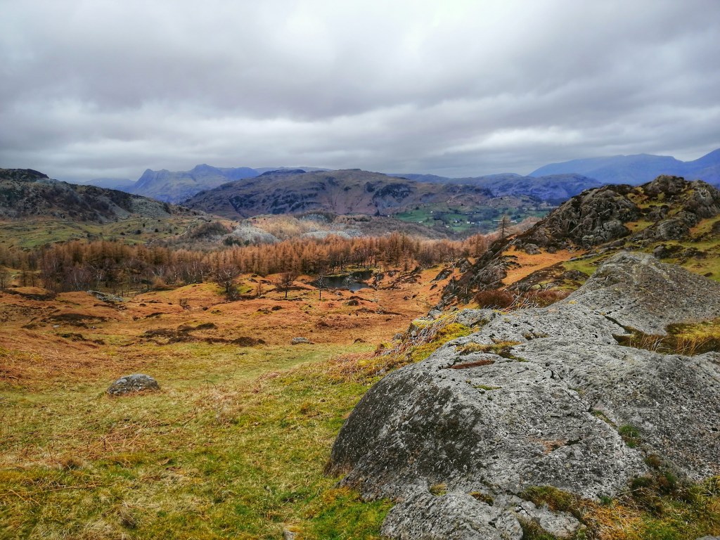 Holme Fell, Coniston